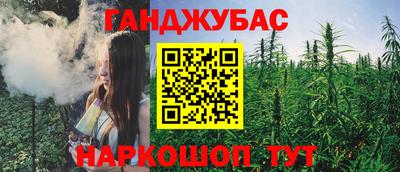 индика Обнинск